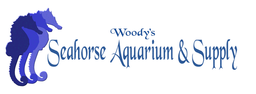 Woody's Seahorse Aquarium & Supply