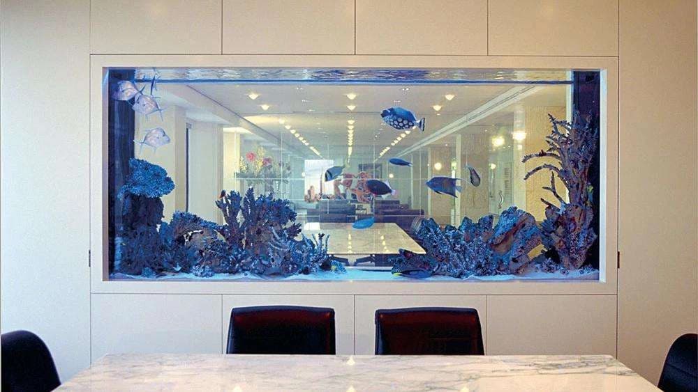 High-End Aquarium Maintenance