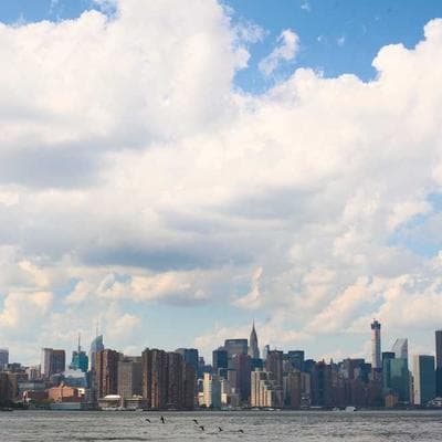 Mushroom Coral — Rainbow