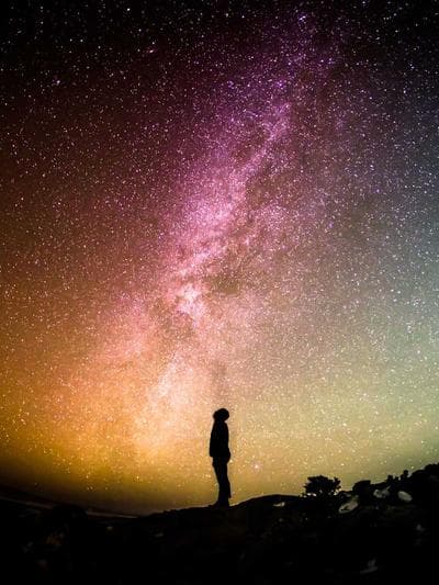 Acropora — Tri-Color
