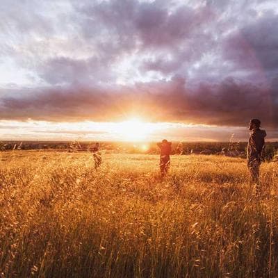 Scarlet Skunk Cleaner Shrimp