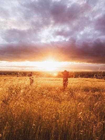Scarlet Skunk Cleaner Shrimp
