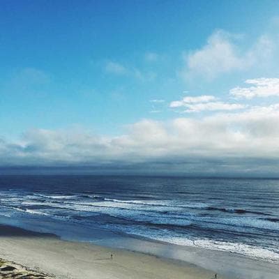 Protein Skimmer — 150 Gal