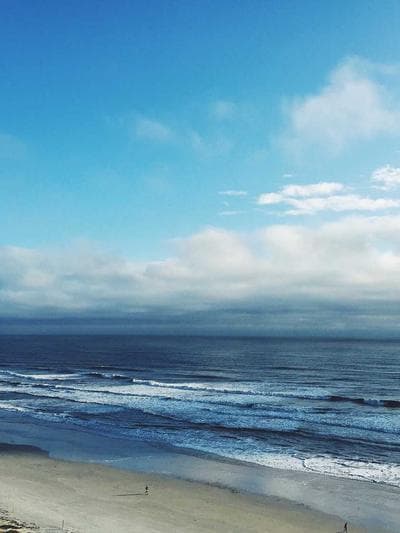 Protein Skimmer — 150 Gal