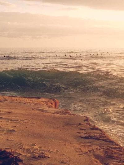 Reef Chemistry 3-Part Kit