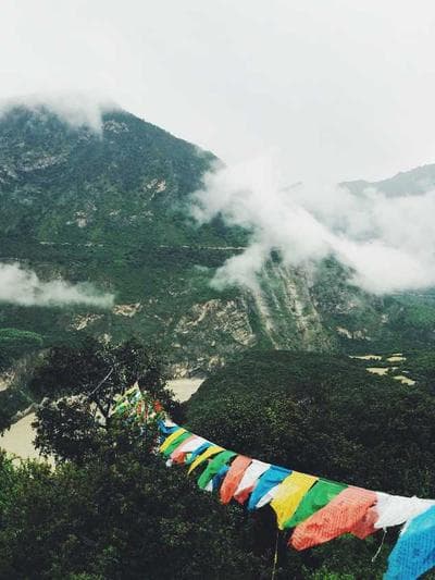 Reef Salt Mix — 200 Gal