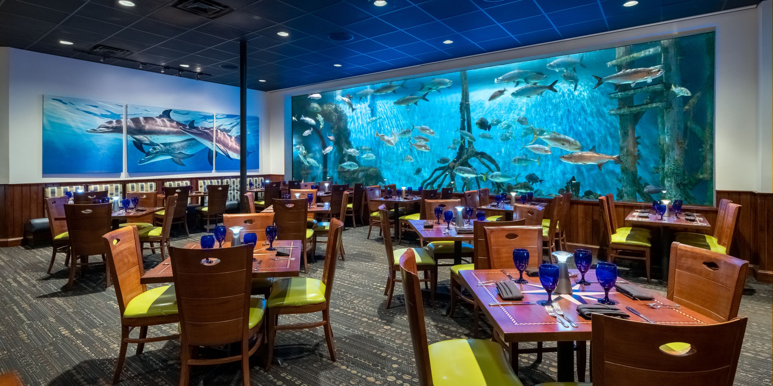 Commercial Maintenance